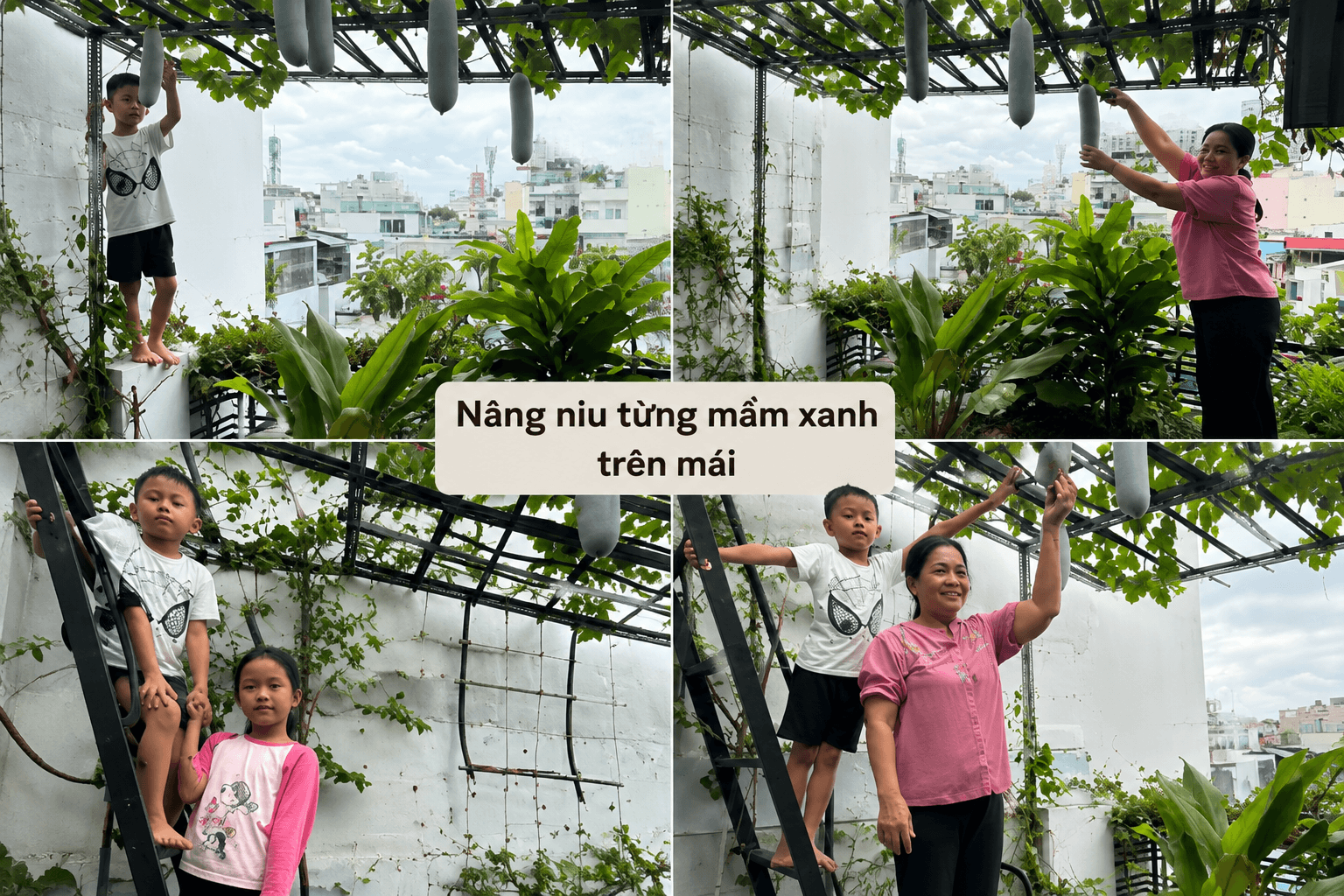 Bài dự thi 84: NÂNG NIU TỪNG MẦM XANH TRÊN MÁI PHỐ